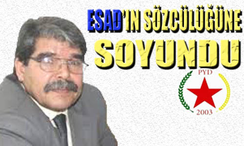 PYD, Baas Rejiminin yıkılmasını istemiyor