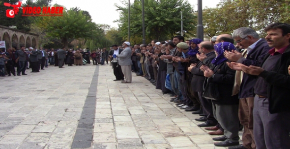 Urfada Mazlum Müslümanlar için Gıyabi Cenaze Namazı Kılındı VİDEO