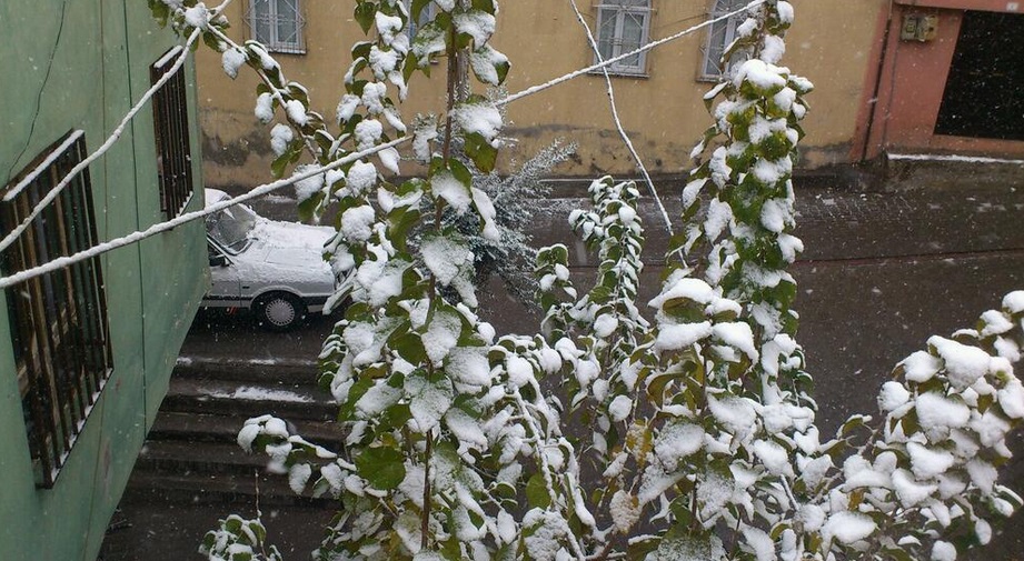 Şanlıurfa'ya yılın ilk karı yağdı