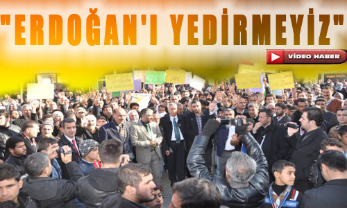 Viranşehir'den Başbakan Erdoğan'a Destek