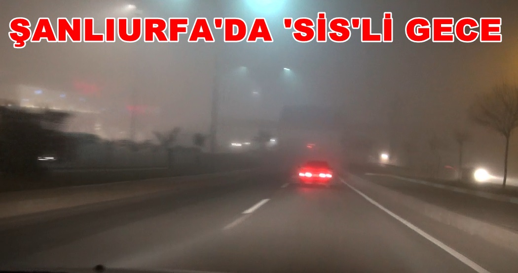 Şanlıurfa'da sis hayatı felç etti VİDEO