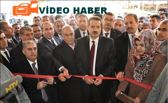 Bakan Çelik, Urfa'da seçim startını resmen verdi VİDEO