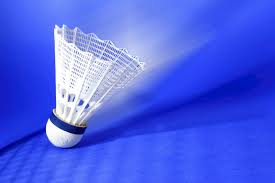 Badminton Hakemlik Kursu açılacak