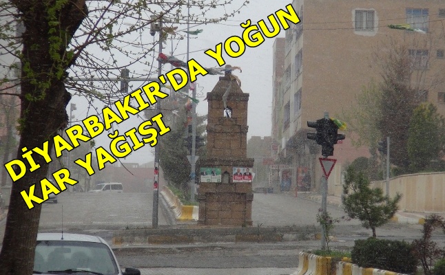 Diyarbakır'da yoğun kar yağışı