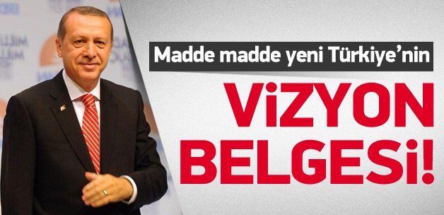 25 Karede Erdoğan'ın vizyon belgesi