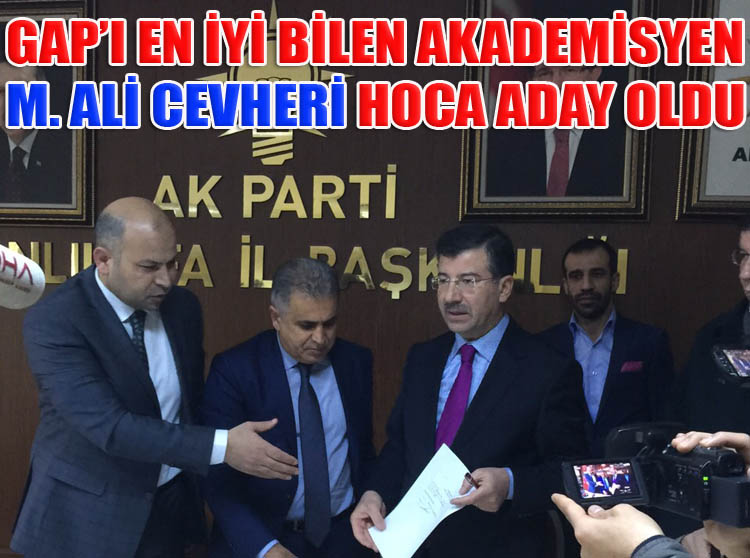 GAP'ın uzmanı Mehmet Ali Cevheri aday adayı oldu