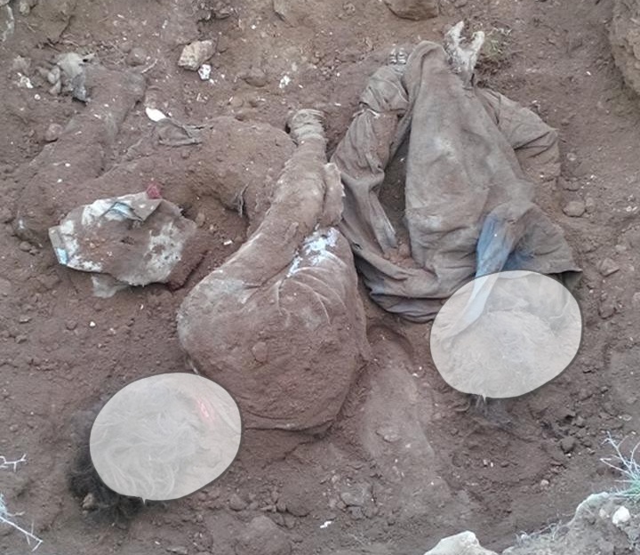 Şanlıurfa'da gömülü iki ceset bulundu