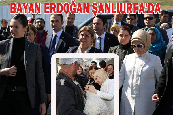 Emine Erdoğan, Urfa'da minik kuzuyu sevdi