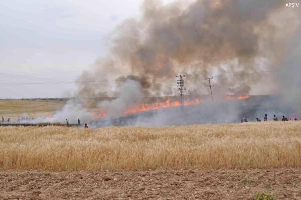 Suriye sınırında biçilmemiş ekin tarlası yakıldı