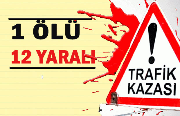 Viranşehir'i Üzen Kaza: 1 ölü 12 yaralı