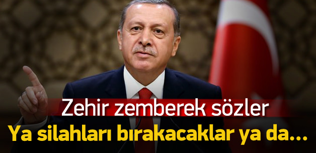 Erdoğan: 'Tek çözüm örgütün silahları bırakmasıdır'