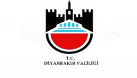 Diyarbakır'da 2 PKK'li yakalandı