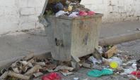 Çınar Belediyesi grev nedeniyle çöp toplamadı