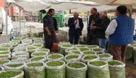 Mardin'de zeytin pazarı kuruldu