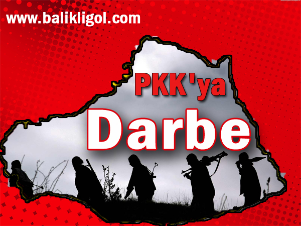 Şanlıurfa'da PKK'ya Darbe Vuruldu