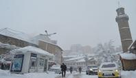 Bitlis'te okullarda kar tatili