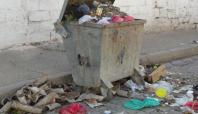 Artuklu Belediyesinden çöp konteynırlarıyla ilgili açıklama