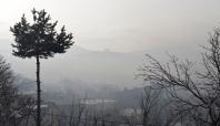 Bitlis'te yoğun sis