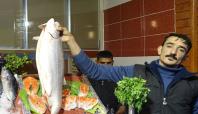 Gaziantep'te balıkçı esnafının yüzü gülüyor