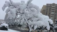 Diyarbakır'da yılın son karı yağdı