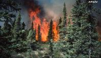 Adana'daki orman yangını güçlükle söndürüldü