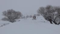 Bingöl'de kar yağışı nedeniyle 277 köy yolu ulaşıma kapandı