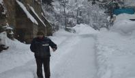 Bitlis'te 160 köy yolu ulaşıma kapalı