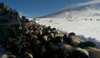 Iğdır'da donmak üzere olan 9 çoban kurtarıldı