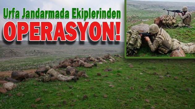 PKK Şanlıurfa'ya sızdı: 400 askerle dev operasyon!