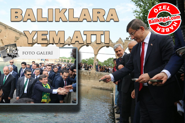 Başbakan Ahmet Davutoğlu Balıklıgöl'de