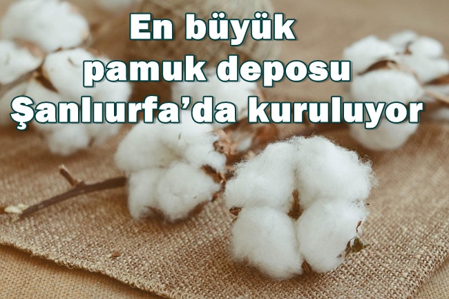 Urfa'da Türkiye’nin en büyük pamuk deposu yapılıyor