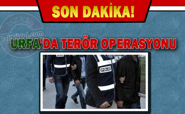 Urfa'da Terör Operasyonu, HDP ve DBP'den önemli isimler gözaltına alındı