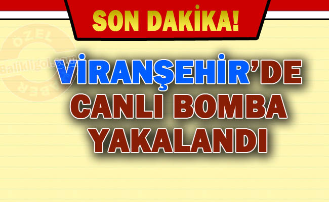 Viranşehir'de Canlı Bomba baskını - 3 Terörist öldürüldü