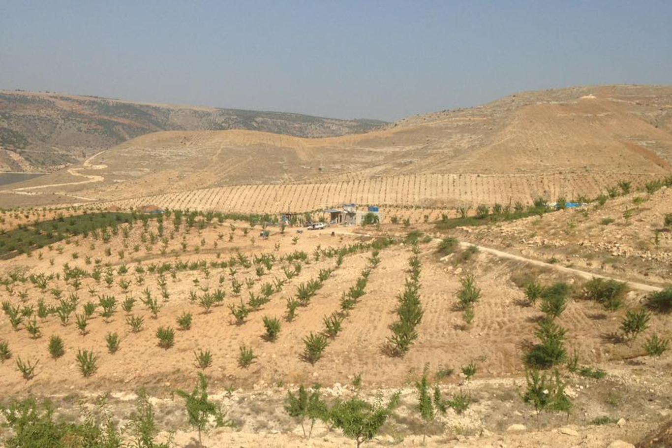 Bakan Eroğlu Açıkladı: Halfeti’de dikilen 70 bin fidan ilk meyvesini verdi