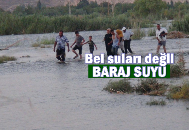 Urfa'da Baraj kapakları açılınca tarlalar su altında kaldı