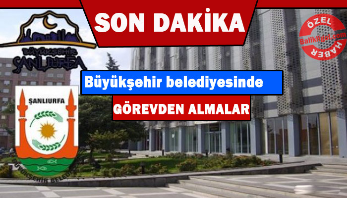 Şanlıurfa Büyükşehir belediyesine operasyon!