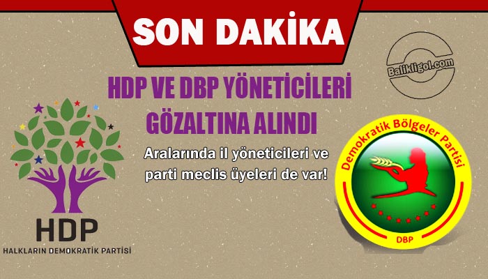 HDP ve DBP yöneticileri gözaltına alındı