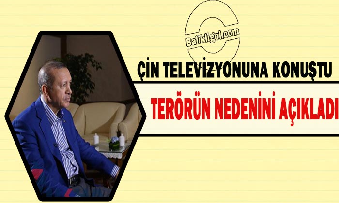 Erdoğan: Yeraltı madenleri nedeniyle terörün hedefindeyiz