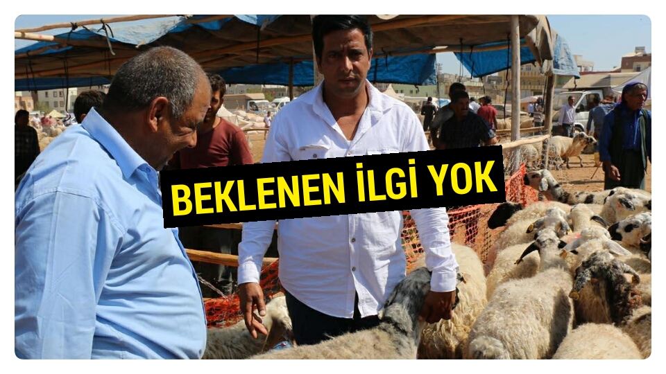 Urfa'da kurbanlık satıcıları memnun değil