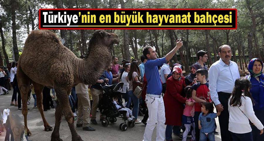 Gaziantep hayvanat bahçesine ziyaretçiler akın etti