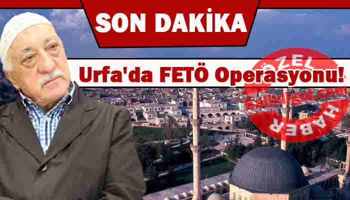 Son Dakika Haberi! Urfa'da FETÖ operasyonu: 24 gözaltı