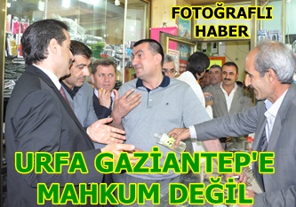 Çelik; Urfa Gaziantep'e mahkum değil
