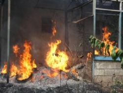 Tapu Kadastro müdürlüğünde yangın paniği