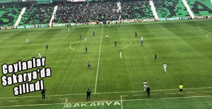Sakaryaspor  Şanlıurfaspor: 4-0 maçın golleri -VİDEO-
