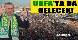 Urfa'ya 2 Müjde Birden! Erdoğan Bizzat katılacak