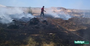 Şanlıurfa'da anız yangınları başladı