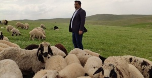 Canlı Hayvan Borsası Başkanı Çiftçi: Hayvancılık Urfa’da alarm veriyor