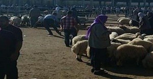 Urfa'da Hayvan Pazarı kaç gün açık olacak?