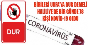 Urfa'da koronavirüste adeta patladı, Sadece Haliliye'de bir günde 78 kişi