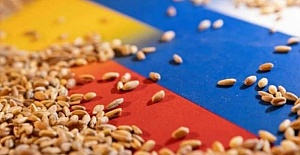 Rusya'nın tahıl anlaşması durdurma kararına tepkiler